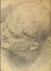 Skizze eines männlichen Kopfes von oben gesehen